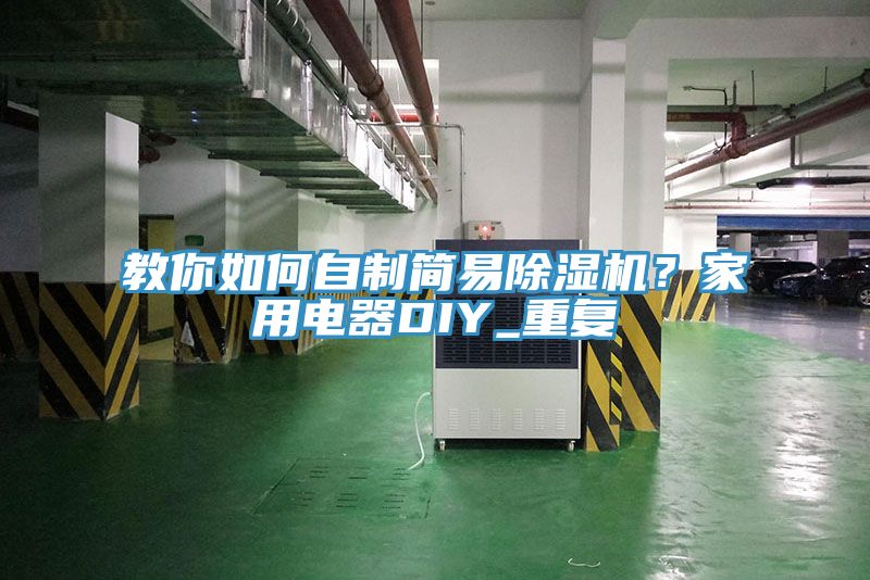教你如何自製簡易91看片网站？家用電器DIY_重複