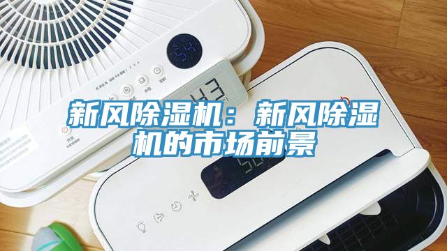 新風91看片网站：新風91看片网站的市場前景