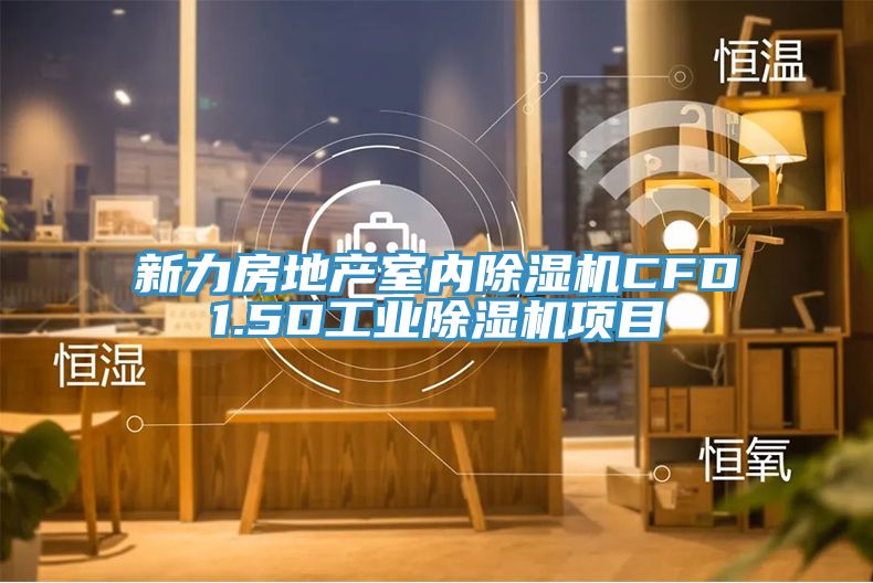 新力房地產室內91看片网站CFD1.5D工業91看片网站項目