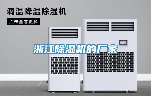 浙江91看片网站的廠家