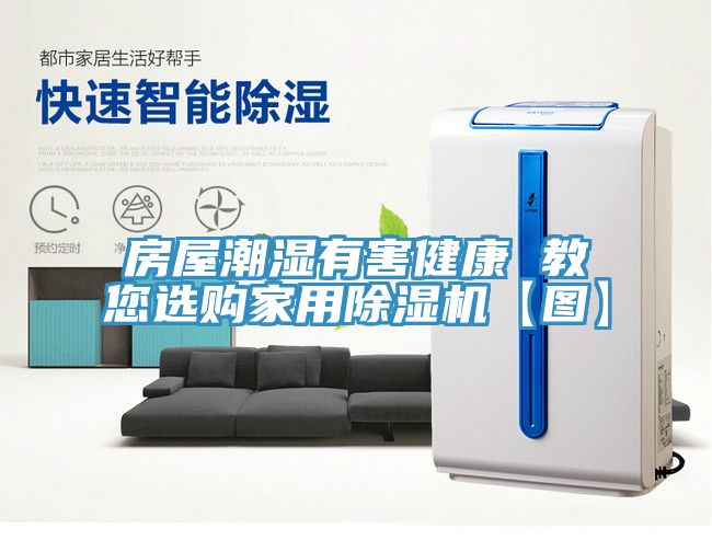 房屋潮濕有害健康 教您選購家用91看片网站【圖】