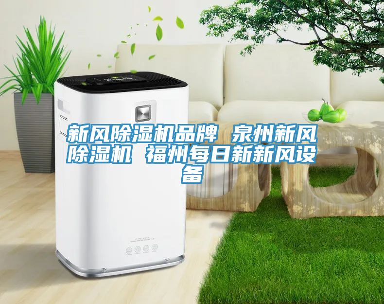 新風91看片网站品牌 泉州新風91看片网站 福州每日新新風設備