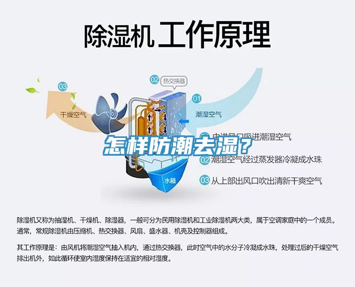 怎樣防潮去濕？