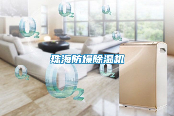 珠海防爆91看片网站