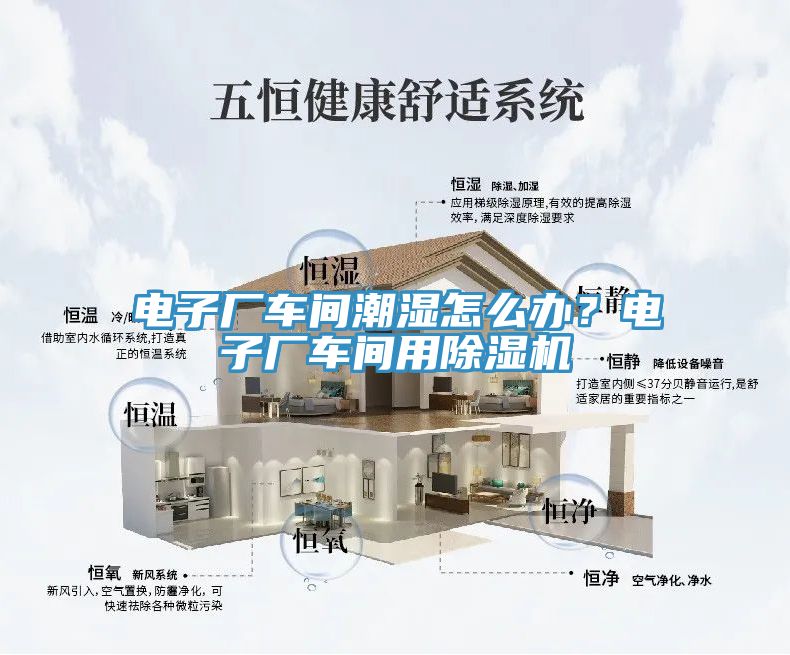 電子廠車間潮濕怎麽辦？電子廠車間用91看片网站