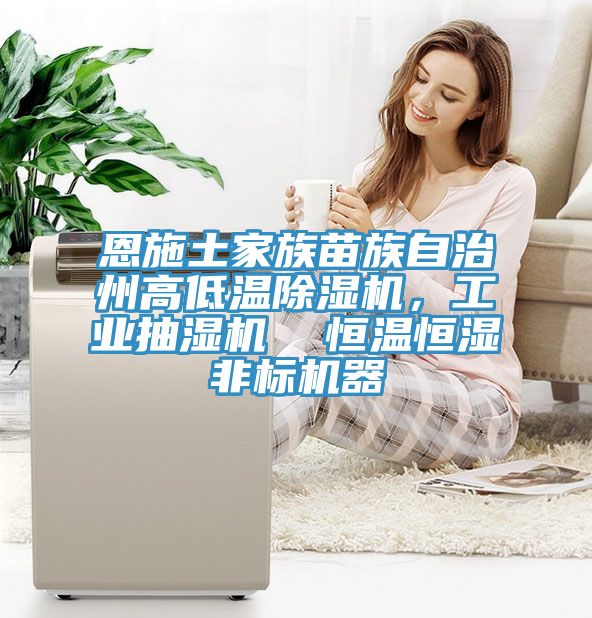 恩施土家族苗族自治州高低溫91看片网站，工業抽濕機  恒溫恒濕非標機器