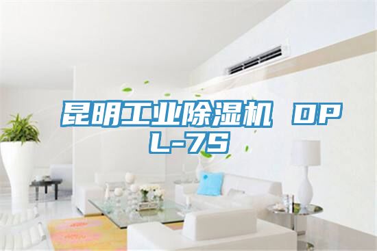 昆明工業91看片网站 DPL-7S