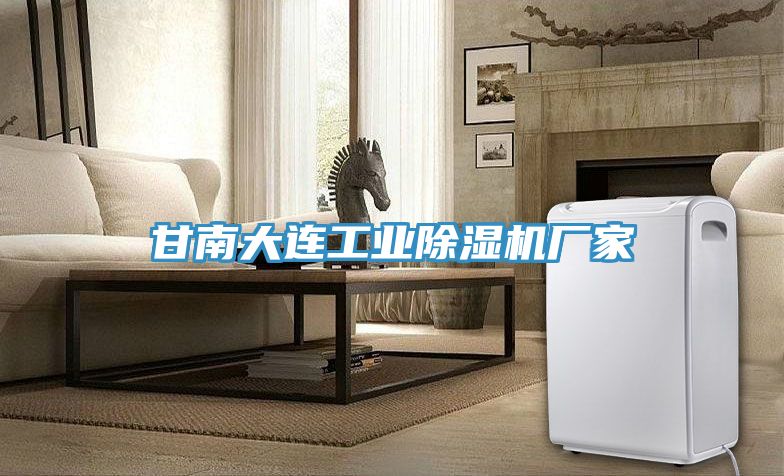 甘南大連工業91看片网站廠家