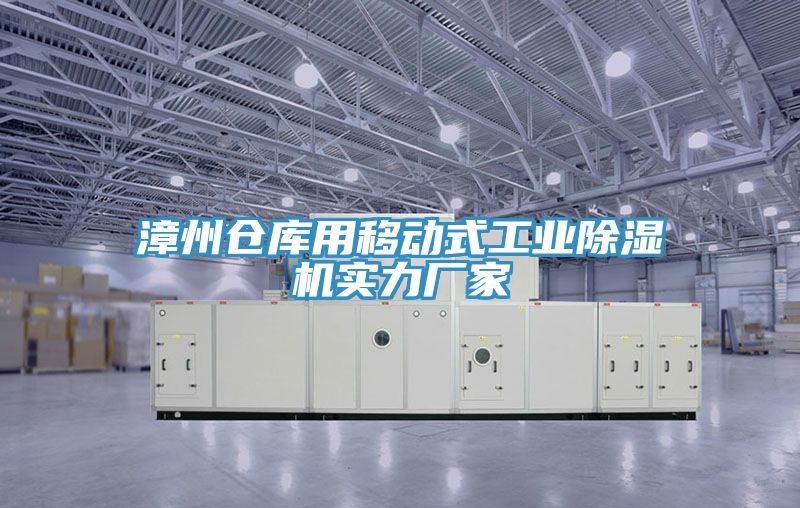 漳州倉庫用移動式工業91看片网站實力廠家