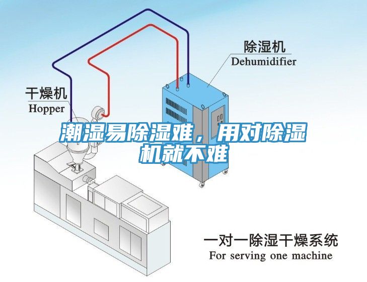 潮濕易除濕難，用對91看片网站就不難
