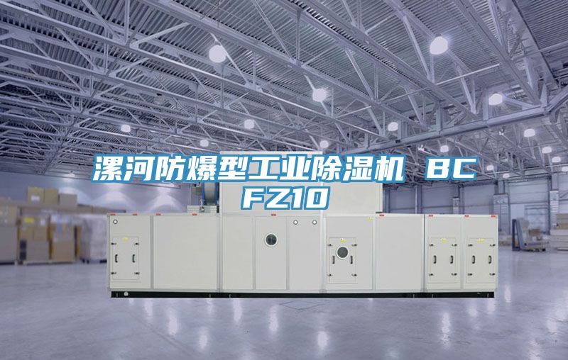 漯河防爆型工業91看片网站 BCFZ10