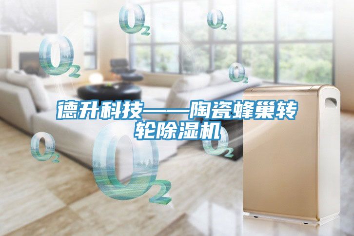 德升科技——陶瓷蜂巢轉輪91看片网站