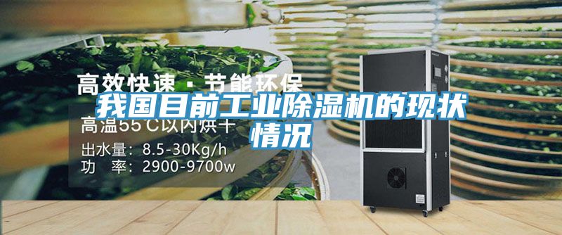 我國目前工業91看片网站的現狀情況