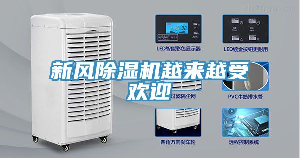 新風91看片网站越來越受歡迎