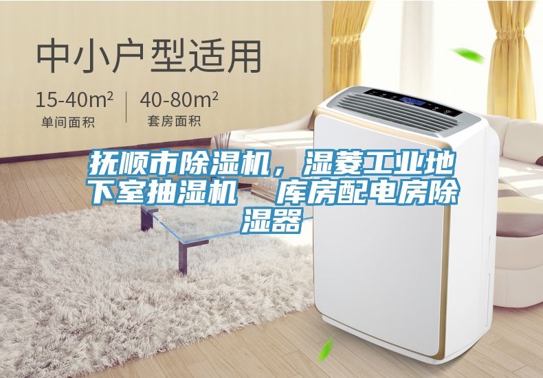 撫順市91看片网站，濕菱工業地下室抽濕機  庫房配電房除濕器