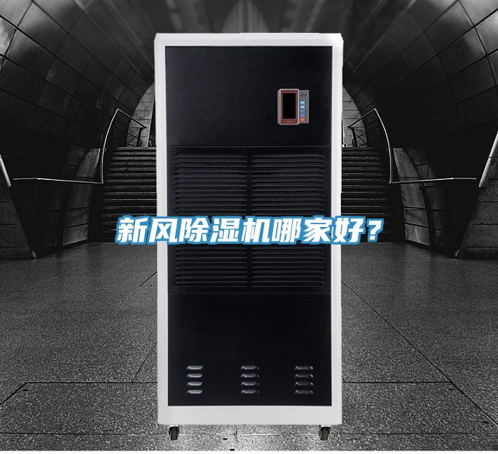 新風91看片网站哪家好？