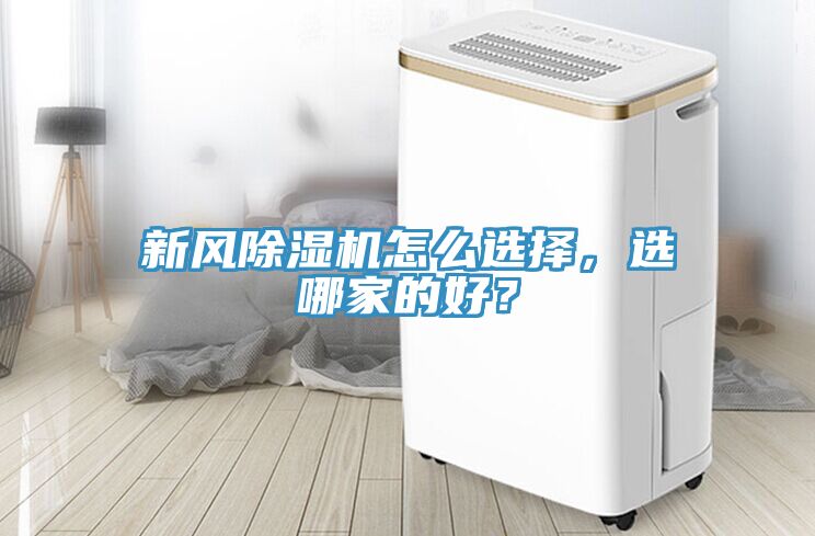 新風91看片网站怎麽選擇，選哪家的好？