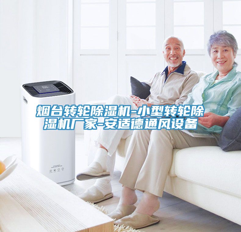 煙台轉輪91看片网站-小型轉輪91看片网站廠家-安適德通風設備
