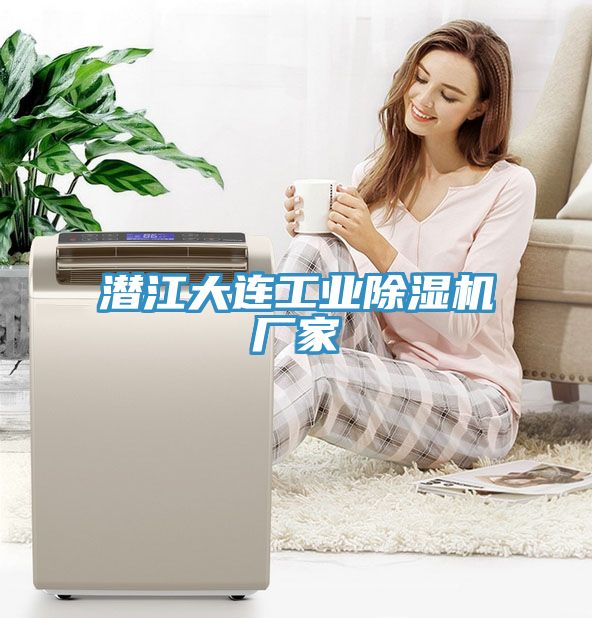 潛江大連工業91看片网站廠家