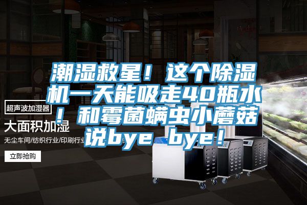 潮濕救星！這個91看片网站一天能吸走40瓶水！和黴菌蟎蟲小蘑菇說bye bye！