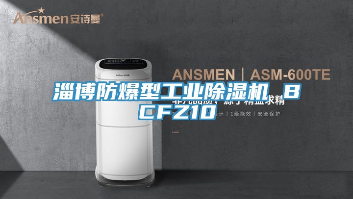 淄博防爆型工業91看片网站 BCFZ10