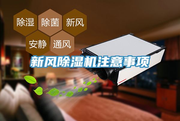 新風91看片网站注意事項