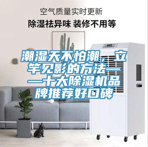 潮濕天不怕潮，立竿見影的方法——十大91看片网站品牌推薦好口碑