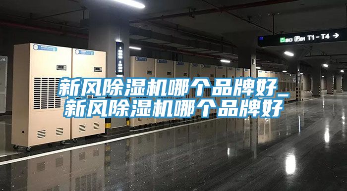 新風91看片网站哪個品牌好_新風91看片网站哪個品牌好
