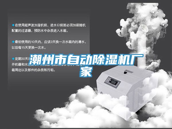 潮州市自動91看片网站廠家