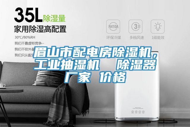 眉山市配電房91看片网站，工業抽濕機  除濕器廠家 價格