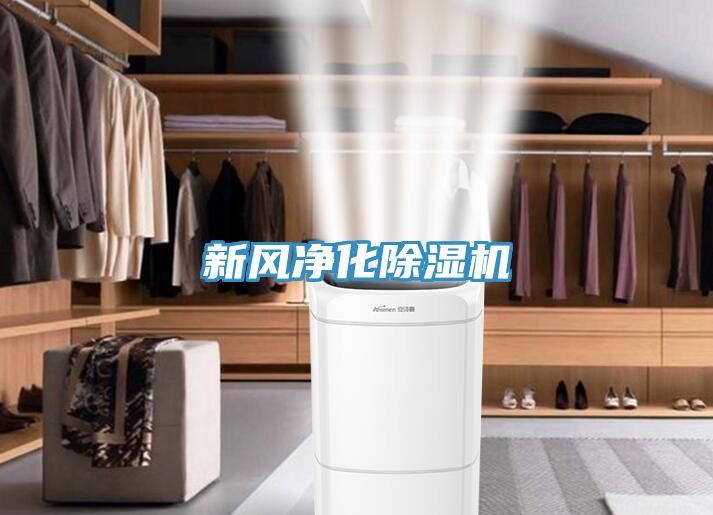新風淨化91看片网站