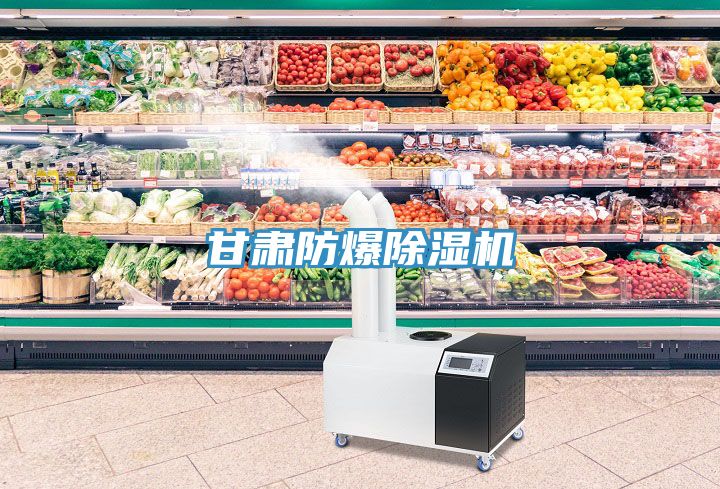 甘肅防爆91看片网站