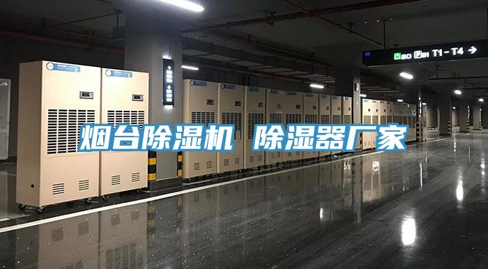 煙台91看片网站 除濕器廠家