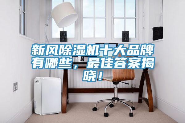 新風91看片网站十大品牌有哪些，最佳答案揭曉！