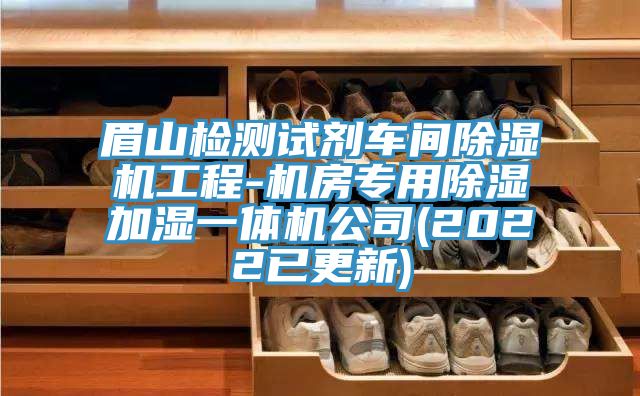 眉山檢測試劑車間91看片网站工程-機房專用除濕加濕一體機公司(2022已更新)