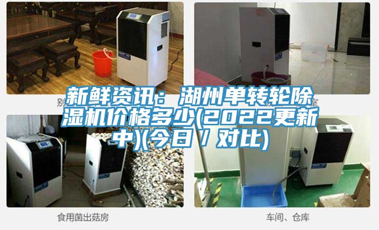 新鮮資訊：湖州單轉輪91看片网站價格多少(2022更新中)(今日／對比)