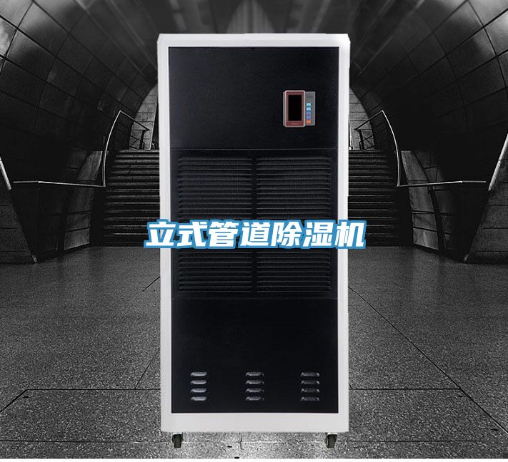 立式管道91看片网站