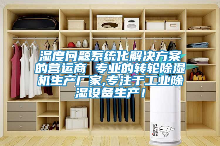 濕度問題係統化解決方案的營運商 專業的轉輪91看片网站生產廠家,專注於工業除濕設備生產！