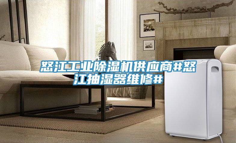 怒江工業91看片网站供應商#怒江抽濕器維修#