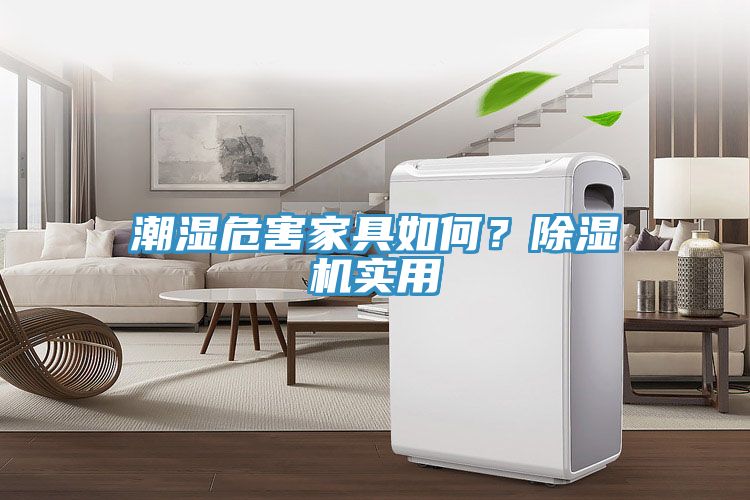 潮濕危害家具如何？91看片网站實用