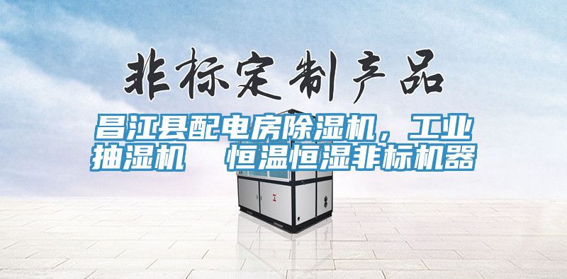 昌江縣配電房91看片网站，工業抽濕機  恒溫恒濕非標機器