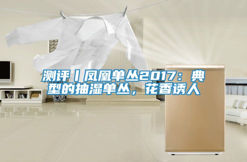 測評丨鳳凰單叢2017：典型的抽濕單叢，花香誘人