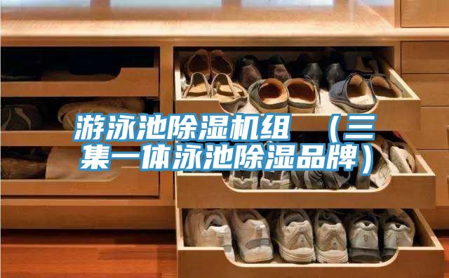 遊泳池91看片网站組 （三集一體泳池除濕品牌）
