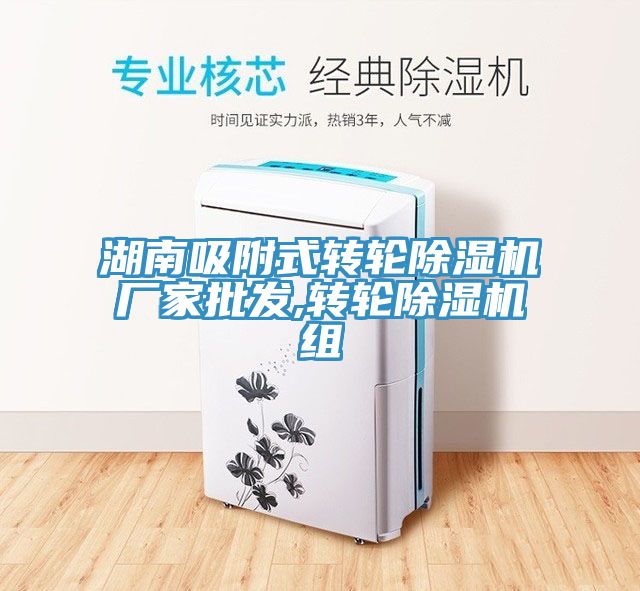 湖南吸附式轉輪91看片网站廠家批發,轉輪91看片网站組
