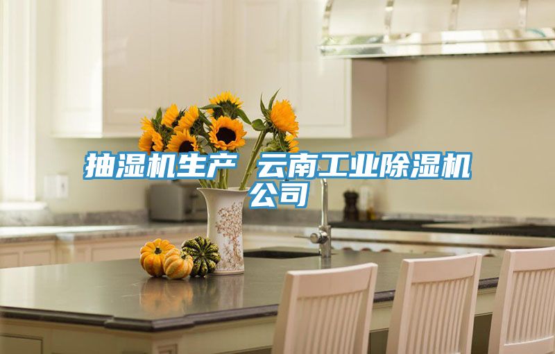 抽濕機生產 雲南工業91看片网站公司