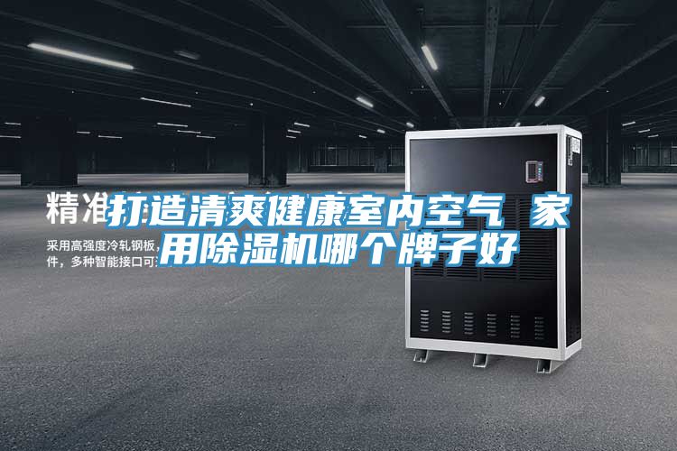 打造清爽健康室內空氣 家用91看片网站哪個牌子好