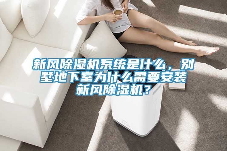 新風91看片网站係統是什麽，別墅地下室為什麽需要安裝新風91看片网站？