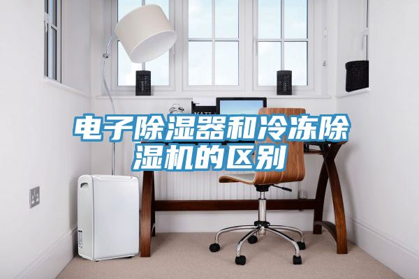 電子除濕器和冷凍91看片网站的區別