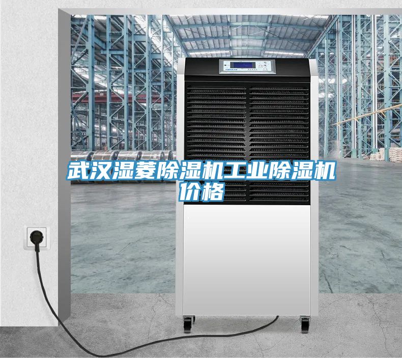 武漢濕菱91看片网站工業91看片网站價格