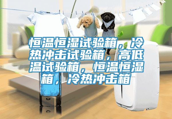 恒溫恒濕試驗箱，冷熱衝擊試驗箱，高低溫試驗箱，恒溫恒濕箱，冷熱衝擊箱